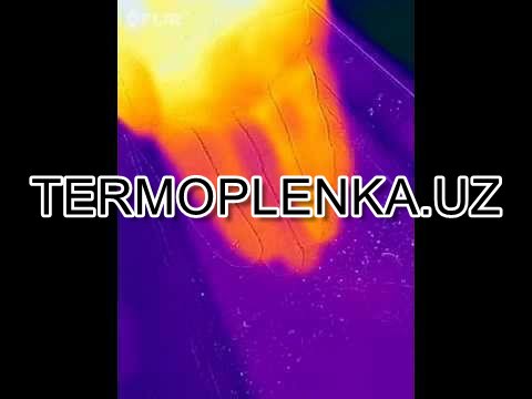   Термопленки в Ташкенте и Узбекистане, Термопленка в Ташкенте, Термопленка, вместо тонировки, Пленки в Ташкенте, пленка - Аксессуары для авто в Ташкент, атермальные пленки в Ташкент, Auto Tonirovka uz, Tonirovka, Тюнинг авто в Ташкенте, Сколько стоит тонировочная пленка в Ташкенте?, Сколько стоит Бронепленка на авто?, Сколько стоит матовая пленка на авто?, Что такое Бронепленка на авто?, Атермальная пленка для автомобиля в Ташкенте, Тюнинг машины в Ташкенте, Тонировка в Ташкенте - автомобильный тюнинг, Автомобильные пленки в Ташкенте, Антигравийная пленка и бронепленка для автомобиля , Пленка тонировочная для автомобилей в Ташкенте, Атермальная плёнка в Ташкенте, Защитная пленка для автомобиля и другие виды, Солнцезащитные плёнки для авто, Ташкент, Тонировка в Узбекистане 2023: стоимость разрешения, Тонировка в Ташкенте, Тонировка авто в Ташкенте, тонировка авто рядом, Солнцезащитная и энергосберегающая пленка, Защитная пленка в Ташкенте, Тонировочная пленка для окон в Ташкенте в Узбекистане, Пленка для ламинирования, Изготовление наклеек на авто на заказ, Тонировка (тонирование) стекол автомобилей - Ташкент, виниловая пленка для авто в ташкенте, бронепленка на авто цена ташкент, бронепленка на авто ташкент, матовая пленка на авто ташкент, полиуретановая пленка ташкент, пленка для авто, можно ли обклеить машину пленкой другого цвета в узбекистане, цветная пленка на авто цена, Auto Tonirovka Uzbekistan, Tonirovka, Термопленка, Вместо Тонировки, Автомобильные Пленки В Ташкенте, Антигравийная Пленка И Бронепленка Для Автомобиля , Атермальная Пленка Для Автомобиля В Ташкенте, Атермальная Плёнка В Ташкенте, Защитная Пленка В Ташкенте, Защитная Пленка Для Автомобиля И Другие Виды, Изготовление Наклеек На Авто На Заказ, Пленка Для Ламинирования, Пленка Тонировочная Для Автомобилей В Ташкенте, Пленки В Ташкенте, Сколько Стоит Бронепленка На Авто?, Сколько Стоит Матовая Пленка На Авто?, Сколько Стоит Т, athermal film, moshina lytham, moshina oynasi tonirovka film, moshina oynasi tonirovka film online, moshina oynasi tonirovka film web, moshina oynasi tonirovka pdf, tonirovka narxi, tonirovka necha foiz mumkin, tonirovka necha foiz mumkin 2023, tonirovka ruxsatnoma narxi, tonirovka ruxsatnoma narxi 2024, tonirovka ruxsatnoma narxi 2023, tonirovka ruxsatnoma narxi 2025, tonirovka ruxsatnoma olish, tonirovka ruxsatnoma olish narxiо termoplenka.uz in Andijan Cost Video Review Photo, termoplenka.uz in Navoi Cost Photo Video Review, termoplenka.uz in Khorezm Cost Video Review Photo, termoplenka.uz Самарканде Цена Фото Обзор, termoplenka.uz in Kashkadarya Cost Video Review Photo, termoplenka.uz Навои Цена Фото Обзор, termoplenka.uz in Syrdarya Cost Video Review Photo, termoplenka.uz в Кашкадарье Цена Фото Обзор, termoplenka.uz Фергане Фото Цена Обзор, Surxondaryo termoplenka.uz Narxi Rasm Video Foto, termoplenka.uz in Bukhara Cost Video Review Photo, Sirdaryo termoplenka.uz Narxi Rasm Video Abzor Foto, Xorazm termoplenka.uz Narxi Video Foto Rasm, termoplenka.uz Джизаке, termoplenka.uz Самарканде Цена Фото Обзор, termoplenka.uz in Uzbekistan Price Photo Video Cost ReView, Navoiy termoplenka.uz Video Foto Narxi Rasm, Samarqand termoplenka.uz Foto Narxi Rasm Video Abzor, termoplenka.uz in Nukus Photo Video Cost ReView Price, termoplenka.uz Хорезме Фото Цена Обзор, termoplenka.uz в Ташкенте Узбекистане Цена Фото Обзор, termoplenka.uz in Surkhandarya Cost Video Review Photo, termoplenka.uz Нукусе Цена Фото Обзор, Farg'ona termoplenka.uz Narxi Video Foto Rasm, rasm, termoplenka.uz в Андижане Цена Фото Обзор, Qoraqalpog‘iston Nukus termoplenka.uz Narxi Rasm Video Foto Narxi, termoplenka.uz in Karakalpakstan Nukus Cost Video Review Photo, Nukus termoplenka.uz Narxi, termoplenka.uz в Бухаре Цена Фото Обзор, Andijon termoplenka.uz Narxi Rasm Foto Video, Namangan termoplenka.uz Video Foto Narxi Rasm, O'zbekiston termoplenka.uz, termoplenka.uz Намангане Цена Фото Обзор, termoplenka.uz in Jizzakh Cost Video Review Photo, termoplenka.uz in Namangan Price Photo Video Cost, Qashqadaryo termoplenka.uz Narxi Rasm Video Foto, termoplenka.uz in Samarkand Price Photo Video Cost, termoplenka.uz in Fergana Photo Cost Video Review, Jizzax termoplenka.uz Video Narxi Rasm Foto, termoplenka.uz в Ташкенте Узбекистане Цена Фото Обзор, termoplenka.uz Сурхандарье Фото Цена Обзор Видео, termoplenka.uz в Каракалпакистане Нукусе Цена Фото Обзор, Buxoro termoplenka.uz Video Narxi Rasm Foto, termoplenka.uz в Сырдарье Цена Фото Обзор 